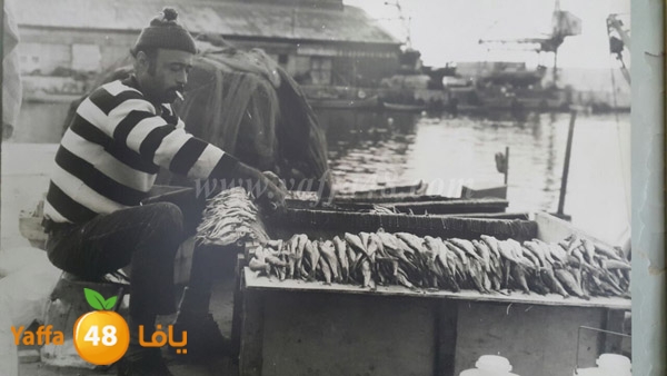 Abo sa3do zainab (4).JPG